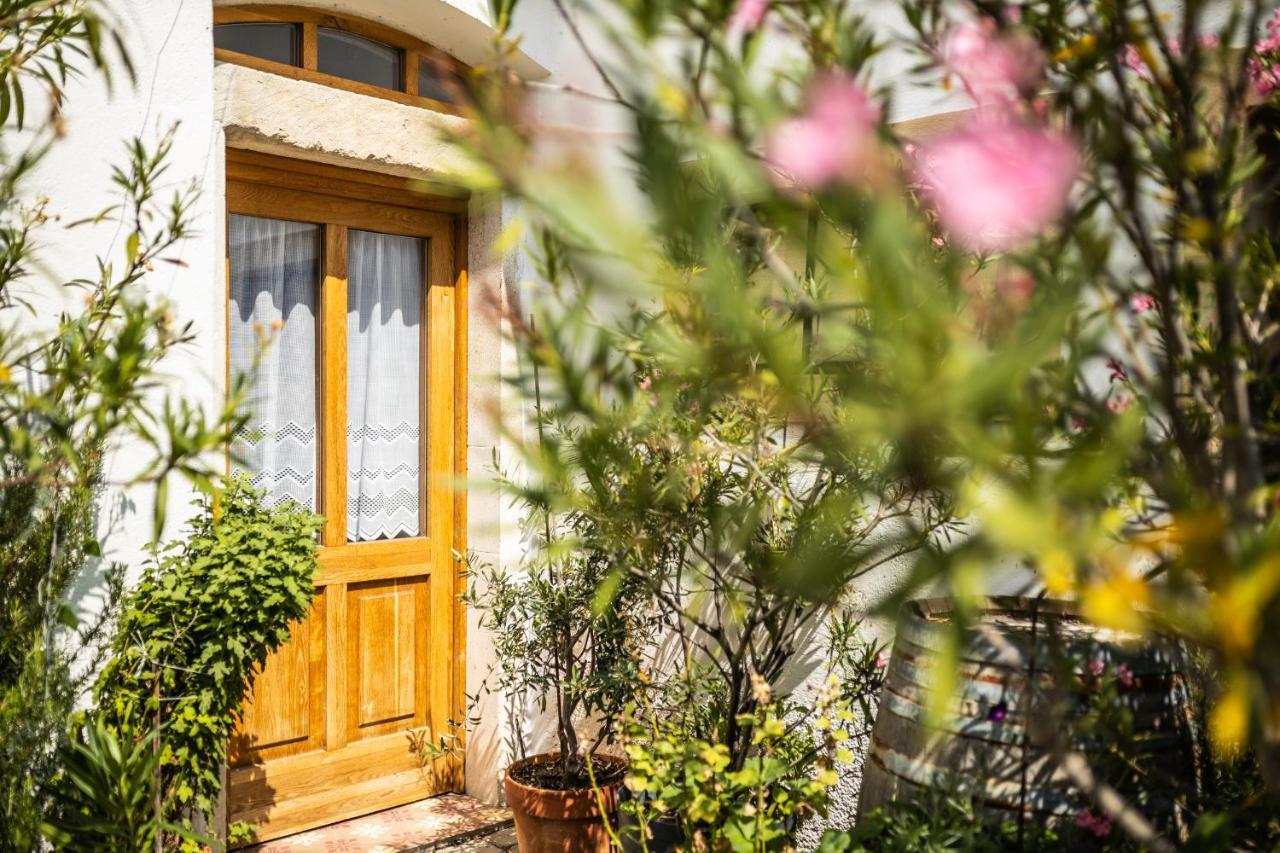 Wohnatelier Im Bioweingut Apartman Ruszt Kültér fotó